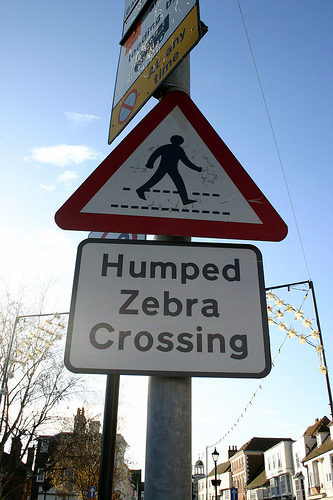 humped-zebra-crossing.jpeg